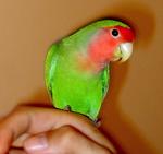 IMG_2171.JPG